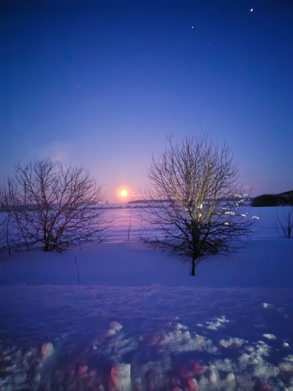 Виды, ради которых возвращаются: 3