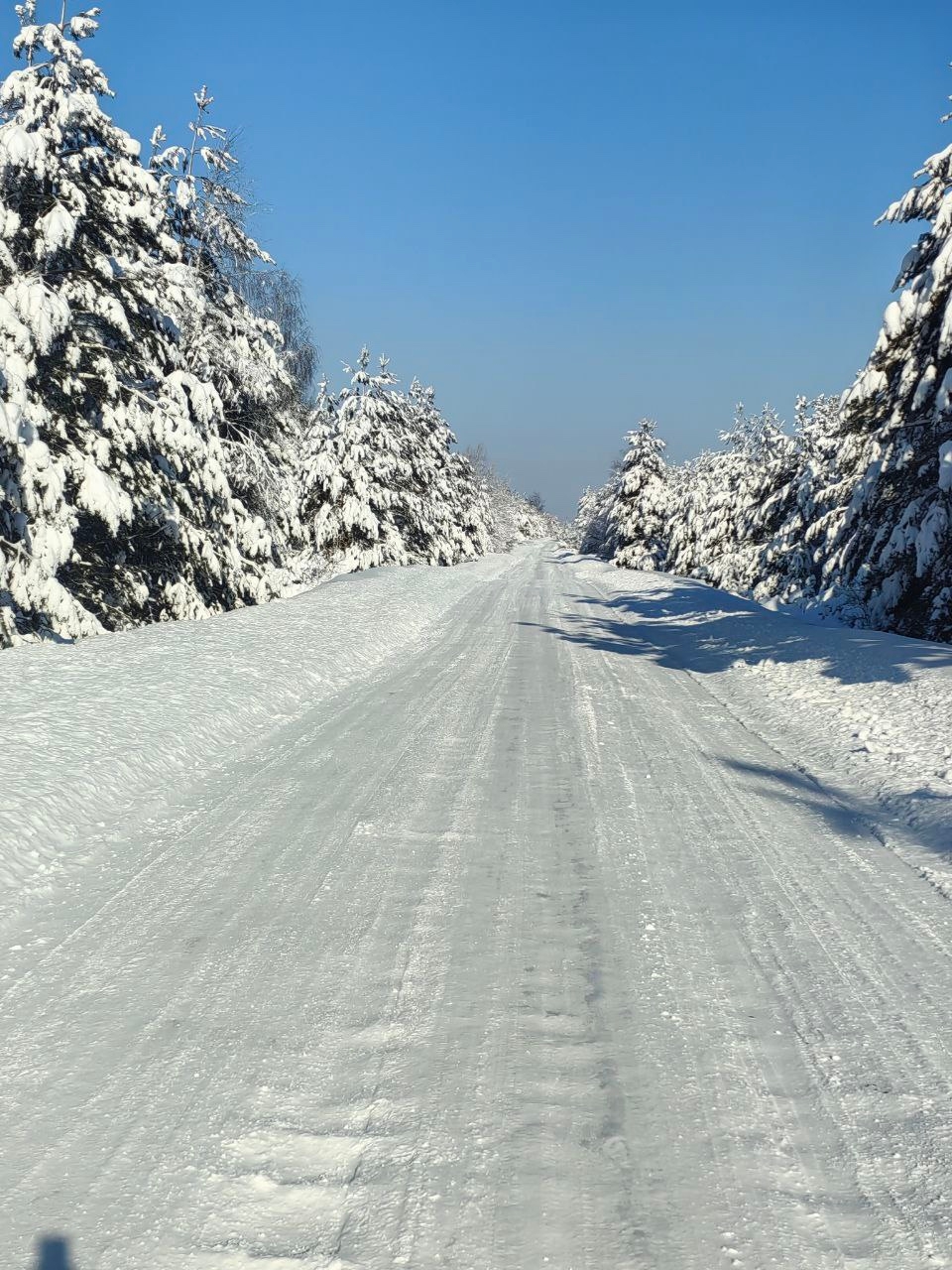 Сначала выбирают домик, а потом остаются ради общего ощущения поездки